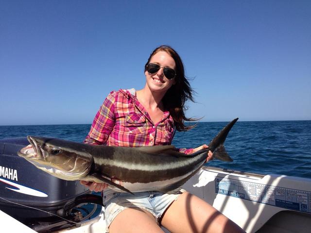Cobia Cobia