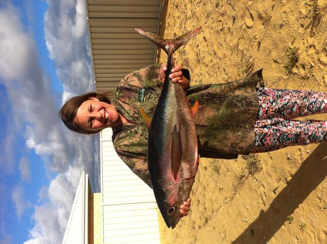 Yellowfin sushi Yellowfin sushi