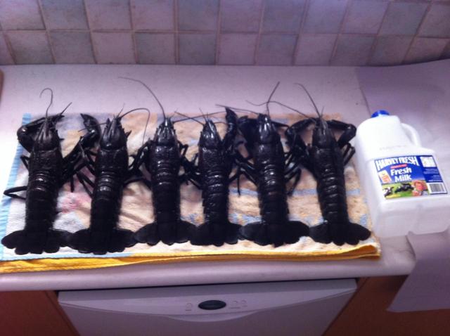 Good Sunday out! Good Sunday out!