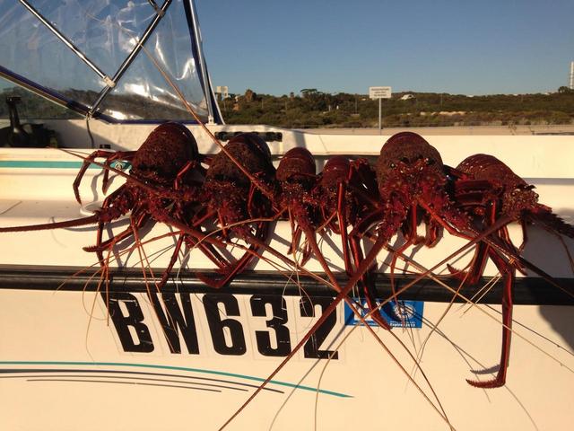 Few winter crays from today Few winter crays from today