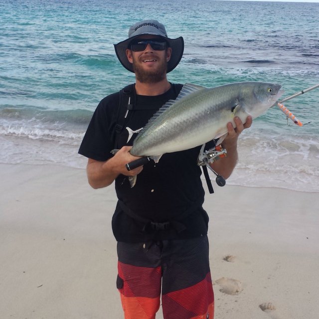 2015 Salmon 2015 Salmon