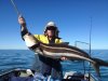 StephenM's Cobia