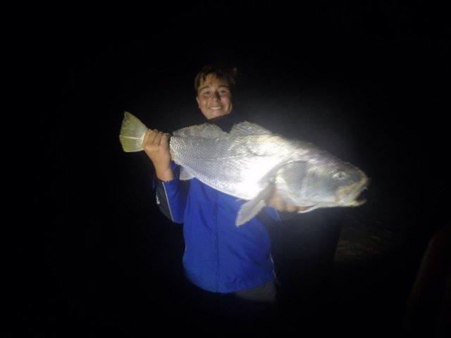 First Mulloway