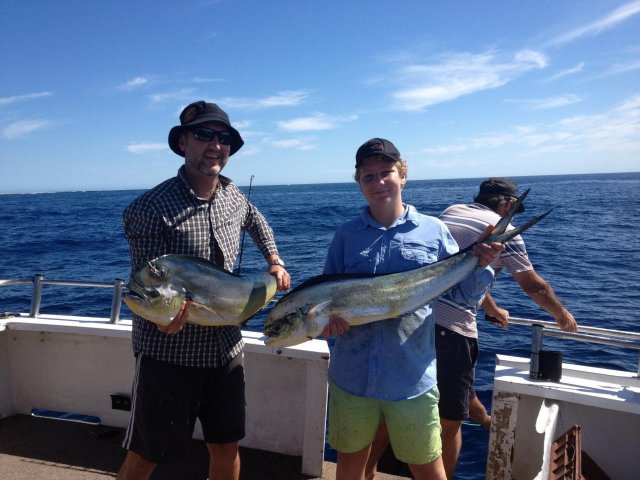 Abrolhos Mahi Mahi Abrolhos Mahi Mahi