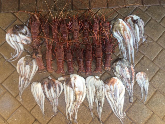 Had great day Had great day