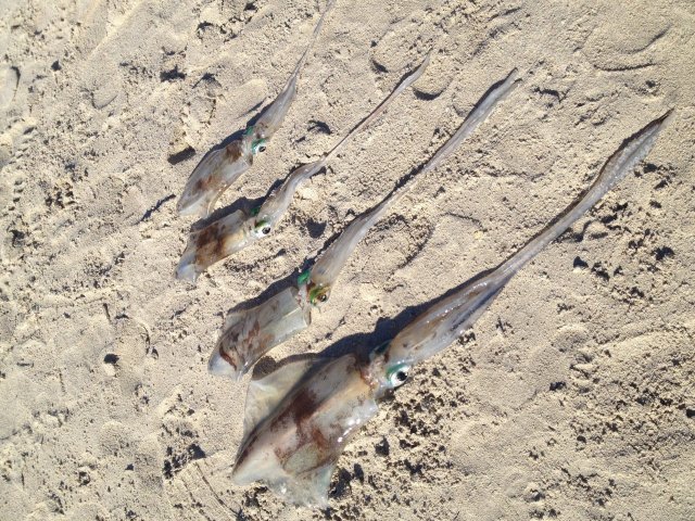 Morning session Morning session