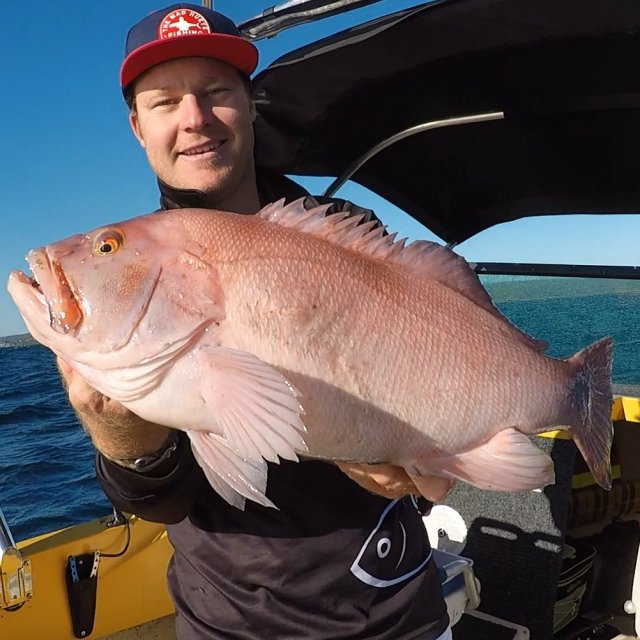 Break sea cod Break sea cod