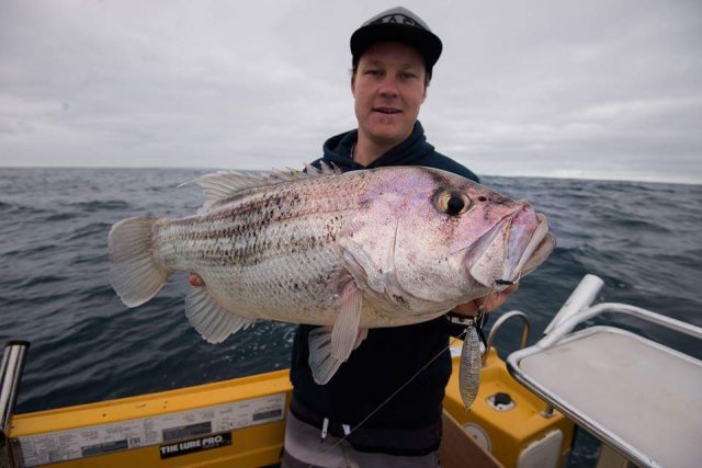 jigged dhu jigged dhu