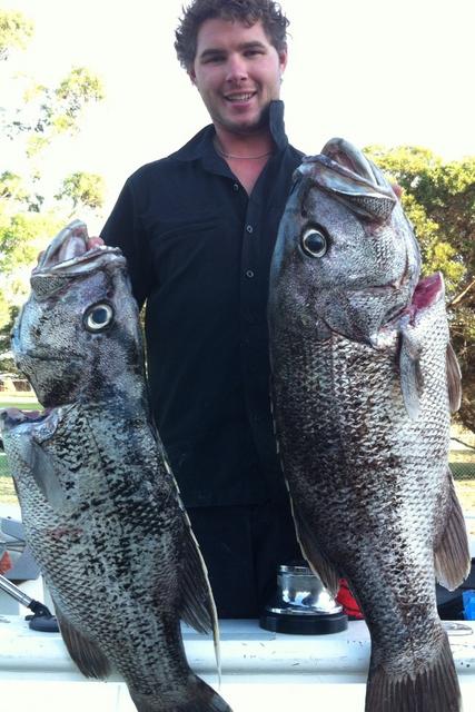 Double or nofin Double or nofin