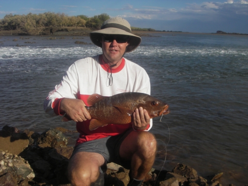 Glenns 53cm Mangrove Jack