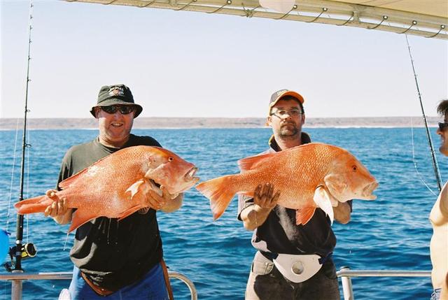 Couple of Big Reds