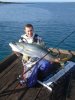 18kg 130cm Landbased YellowTail Kingfish