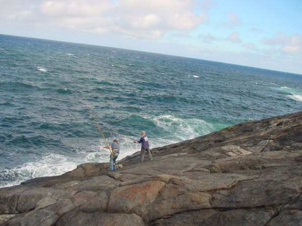 Kingy Rock - Peaceful Bay