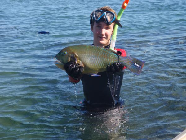 nice bluebone nice bluebone