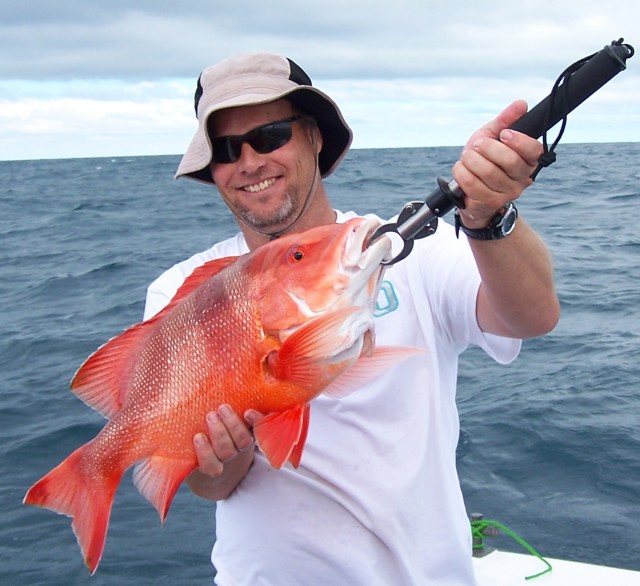 Little shallow water red Little shallow water red