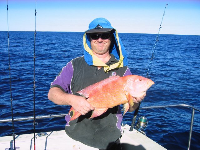 Coronation trout - great looking fish! Coronation trout - great looking fish!