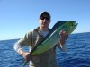 Mark's Dolphinfish