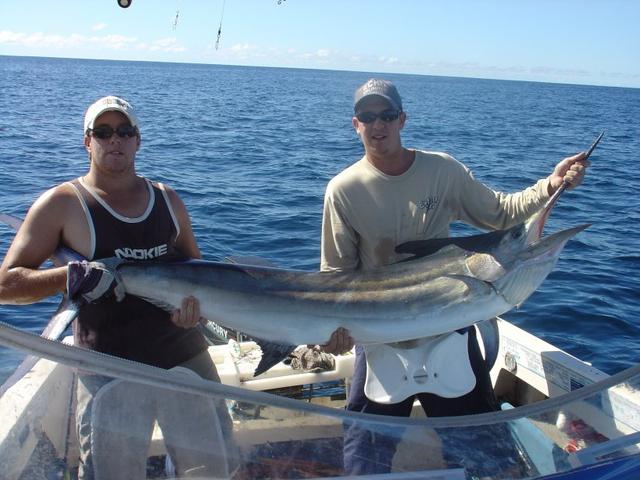 Black Marlin Black Marlin
