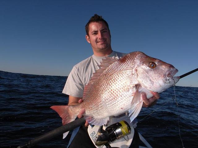 Matt's Pink Snapper Matt's Pink Snapper