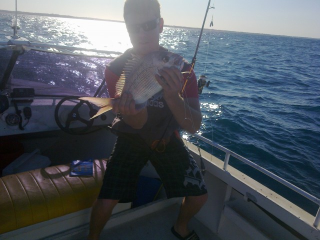 two rocks snapper two rocks snapper