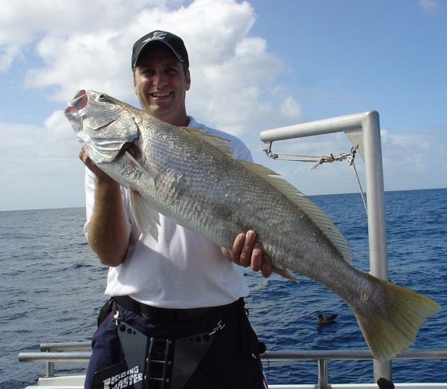 Mulloway for Andrew Mulloway for Andrew