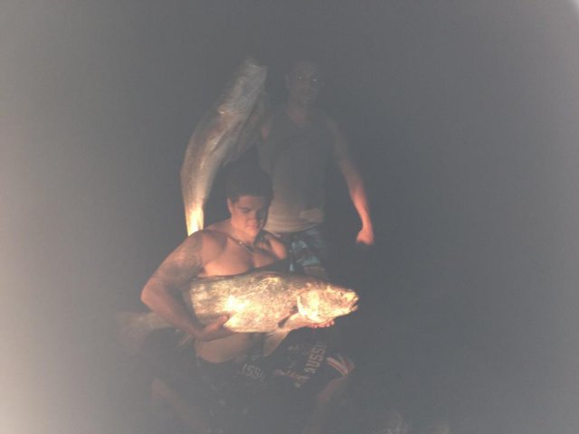 modeling with fish modeling with fish