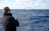 Dolphinfish with noodle Dolphinfish with noodle