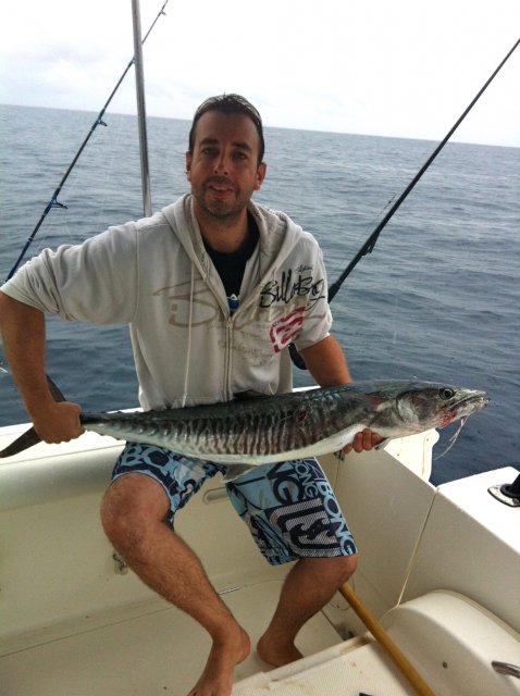 Perth mackies in May Perth mackies in May