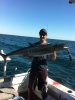 sharkbay 2012 mack