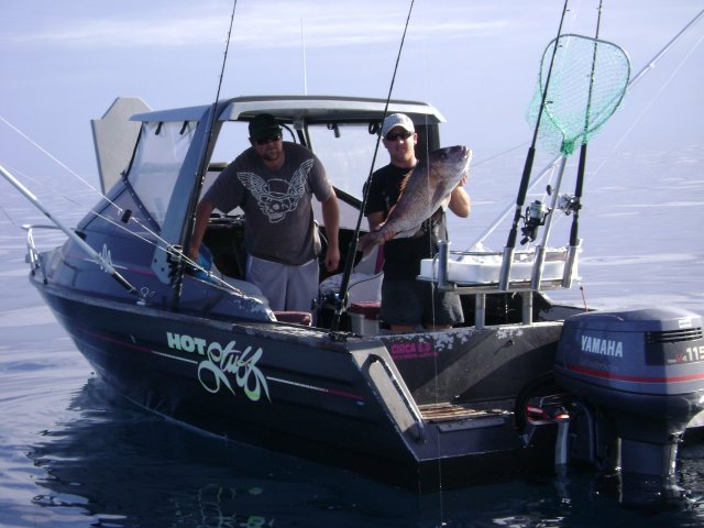 10kg snapp from the mokes NZ 10kg snapp from the mokes NZ