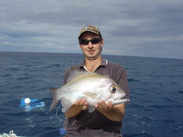 My second Pearl Perch My second Pearl Perch