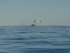 Exmouth Sea Rescue