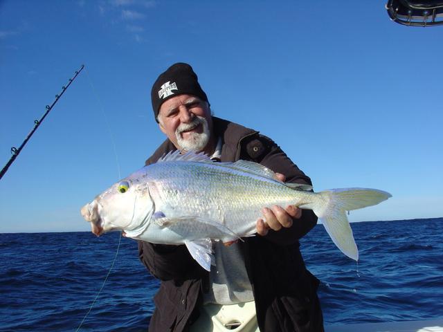 Queen Snapper 1 Queen Snapper 1