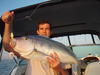 Queen Snapper