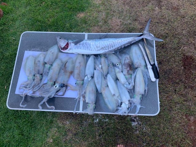Squiddy bag Squiddy bag