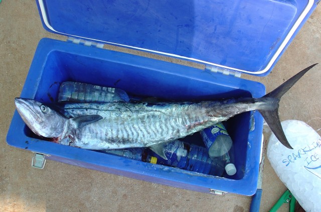 The result The result