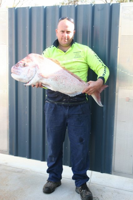 Thesupervisors Snapper Thesupervisors Snapper