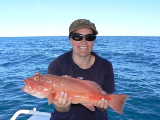 Amanda's First Coral Trout
