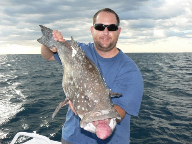 Horse Rankin Horse Rankin