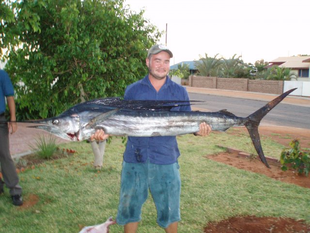 First Sailfish