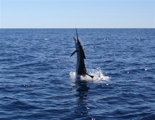 K-town saily K-town saily