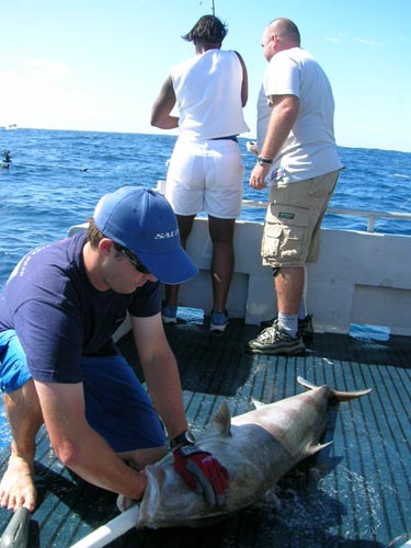 Blue Juice jigging Blue Juice jigging