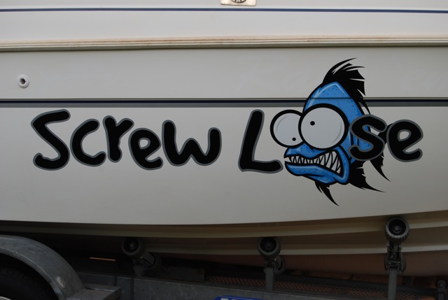 Screw Loose Screw Loose