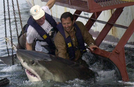 What a job What a job