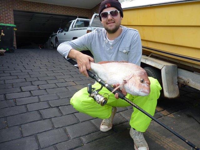 Snapper Snapper
