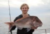 Abrolhos snapper