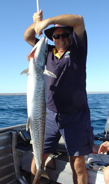 Julian's Spanish Mackerel Julian's Spanish Mackerel