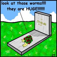 Worms Worms
