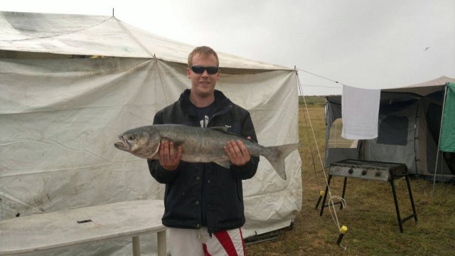 6 kg Tailor Caught off Quobba station Cliffs.