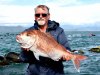 Goatch's Pink Snapper